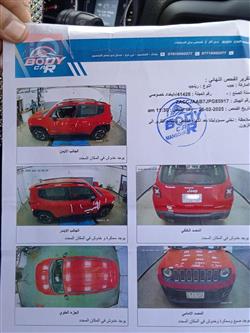 جيب رينيجيد